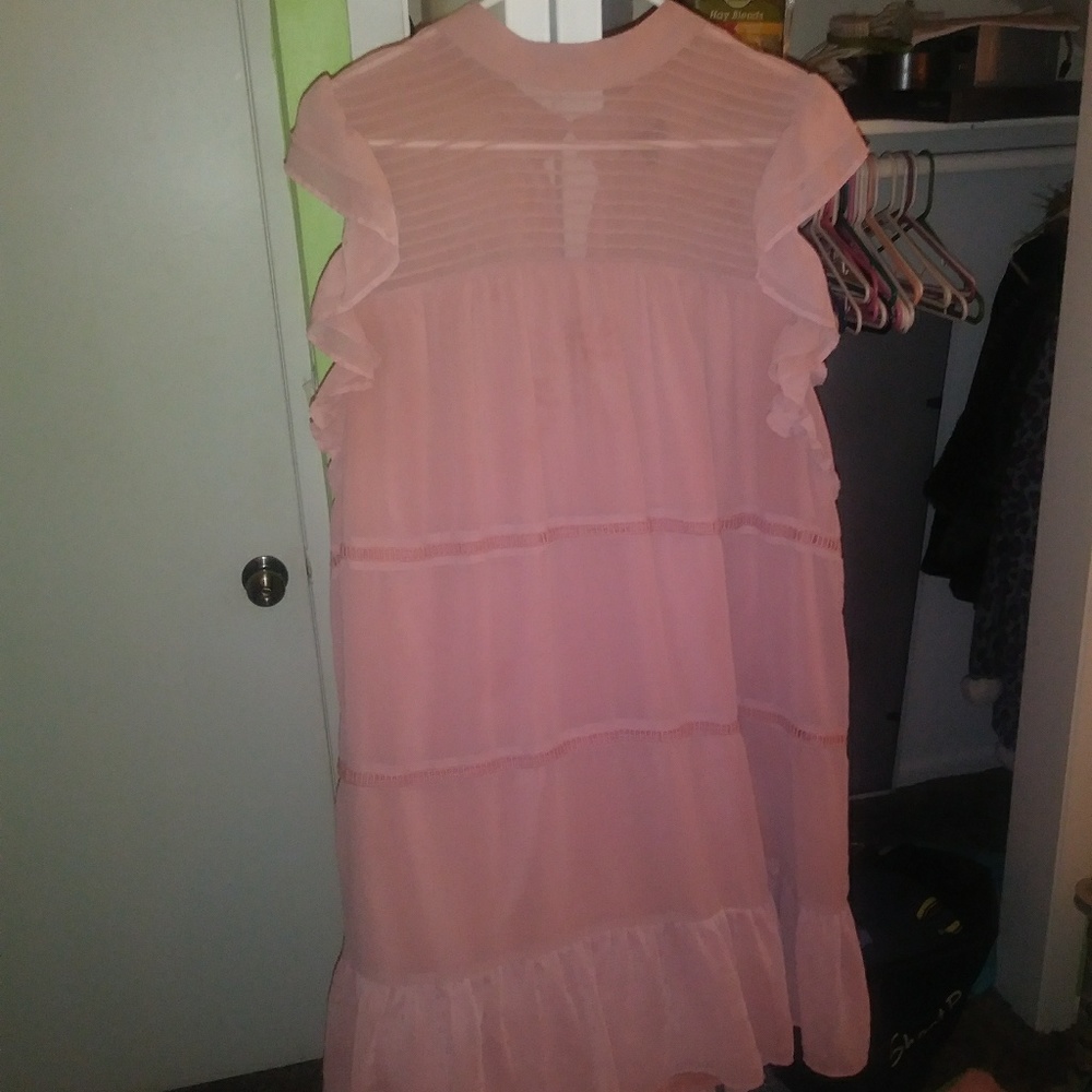 1X Target What Not To Wear Dress
